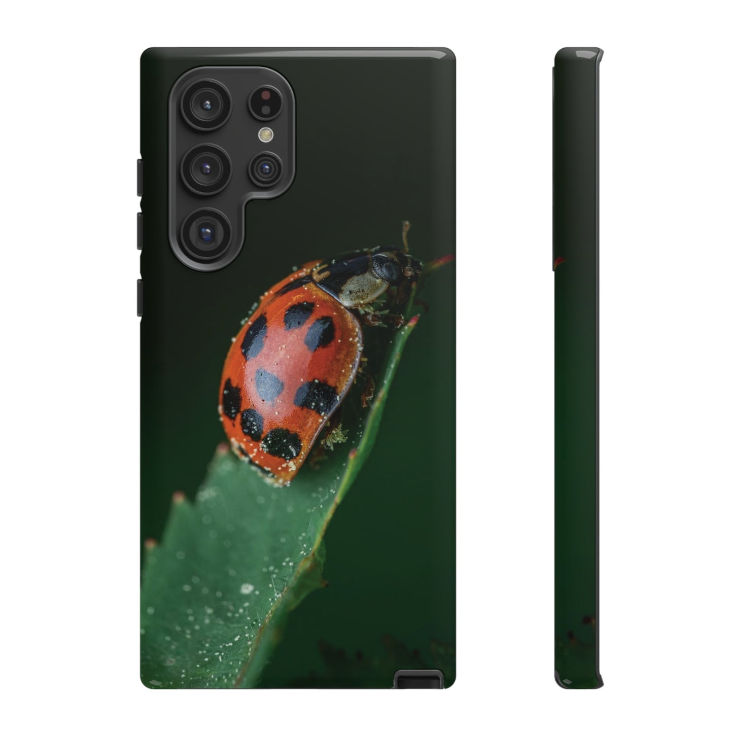 Ladybug Wallpaper Phone Case | iPhone 15 Plus/ Pro, 14, 13, 12| Google Pixel 7, Pro, 5| Samsung Galaxy S23 All Major Phone Models