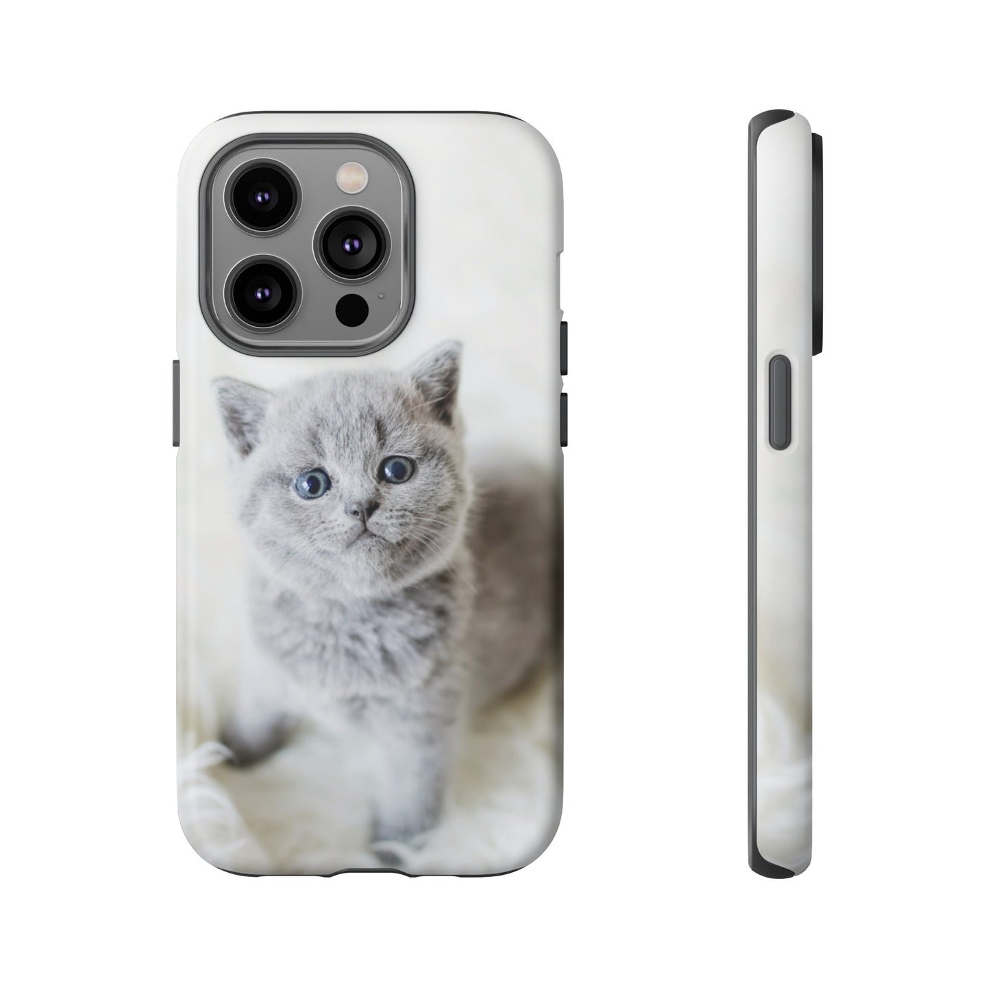 Grey Kitten Wallpaper Phone Case | iPhone 15 Plus/ Pro, 14, 13, 12| Google Pixel 7, Pro, 5| Samsung Galaxy S23 All Major Phone Models