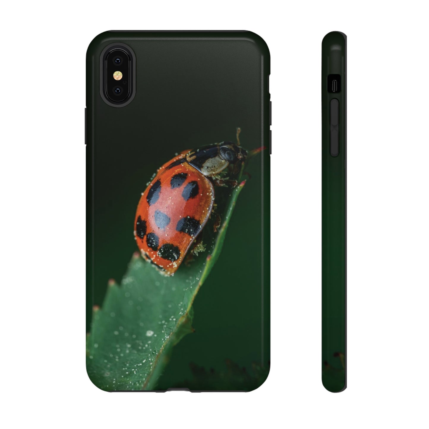 Ladybug Wallpaper Phone Case | iPhone 15 Plus/ Pro, 14, 13, 12| Google Pixel 7, Pro, 5| Samsung Galaxy S23 All Major Phone Models