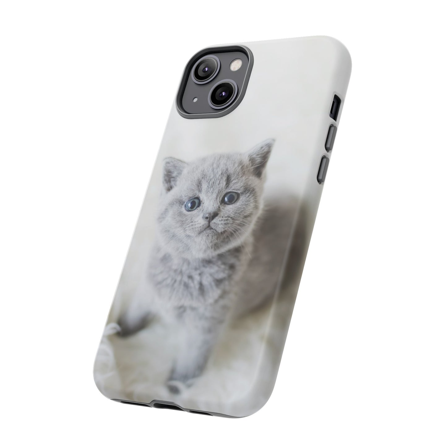 Grey Kitten Wallpaper Phone Case | iPhone 15 Plus/ Pro, 14, 13, 12| Google Pixel 7, Pro, 5| Samsung Galaxy S23 All Major Phone Models