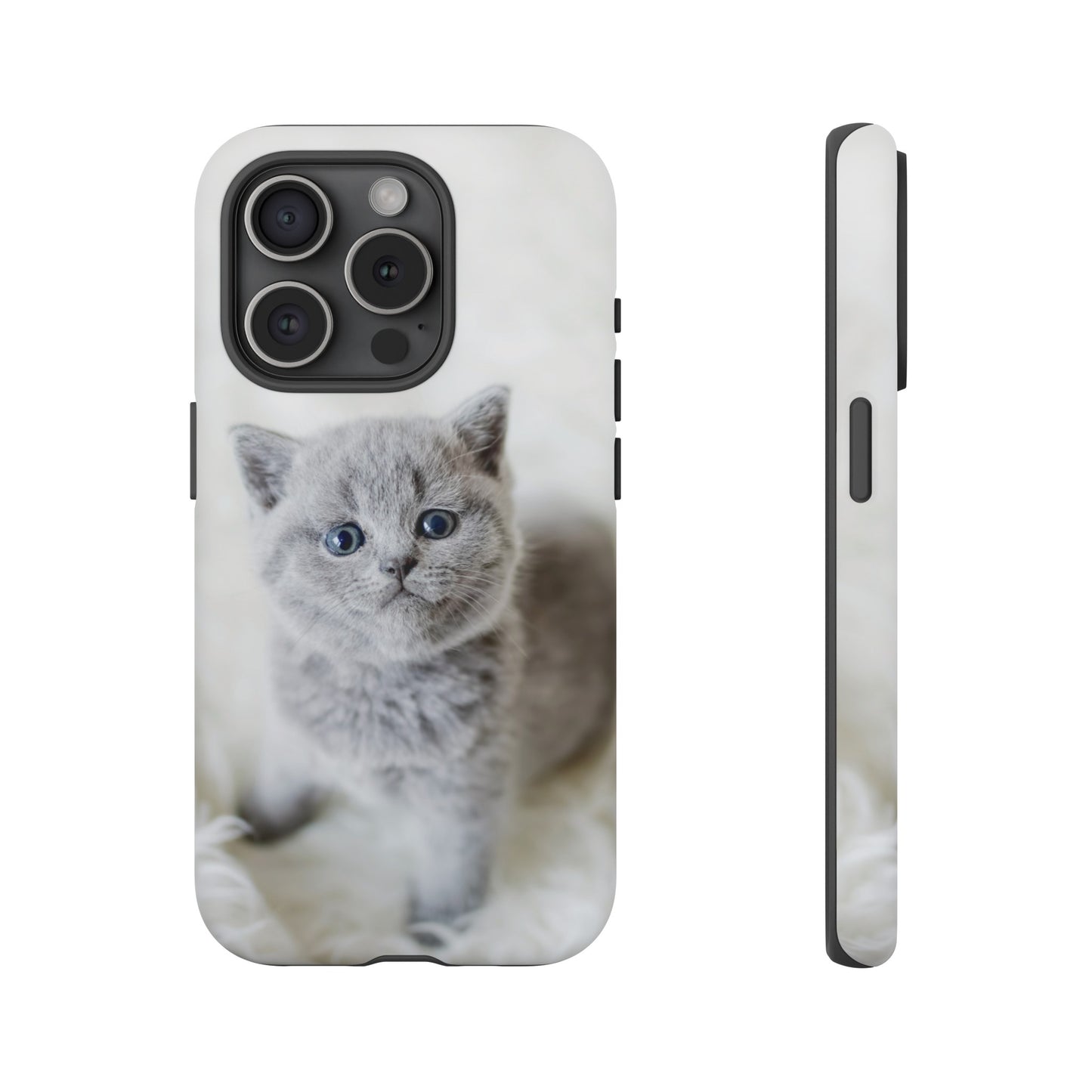 Grey Kitten Wallpaper Phone Case | iPhone 15 Plus/ Pro, 14, 13, 12| Google Pixel 7, Pro, 5| Samsung Galaxy S23 All Major Phone Models