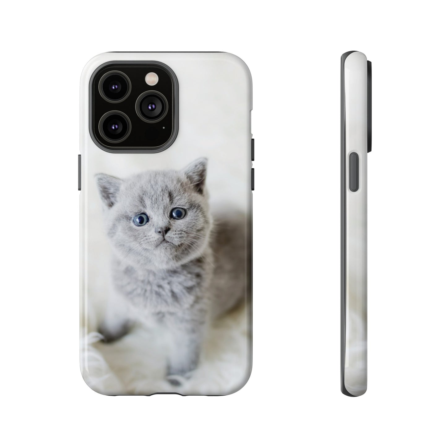 Grey Kitten Wallpaper Phone Case | iPhone 15 Plus/ Pro, 14, 13, 12| Google Pixel 7, Pro, 5| Samsung Galaxy S23 All Major Phone Models