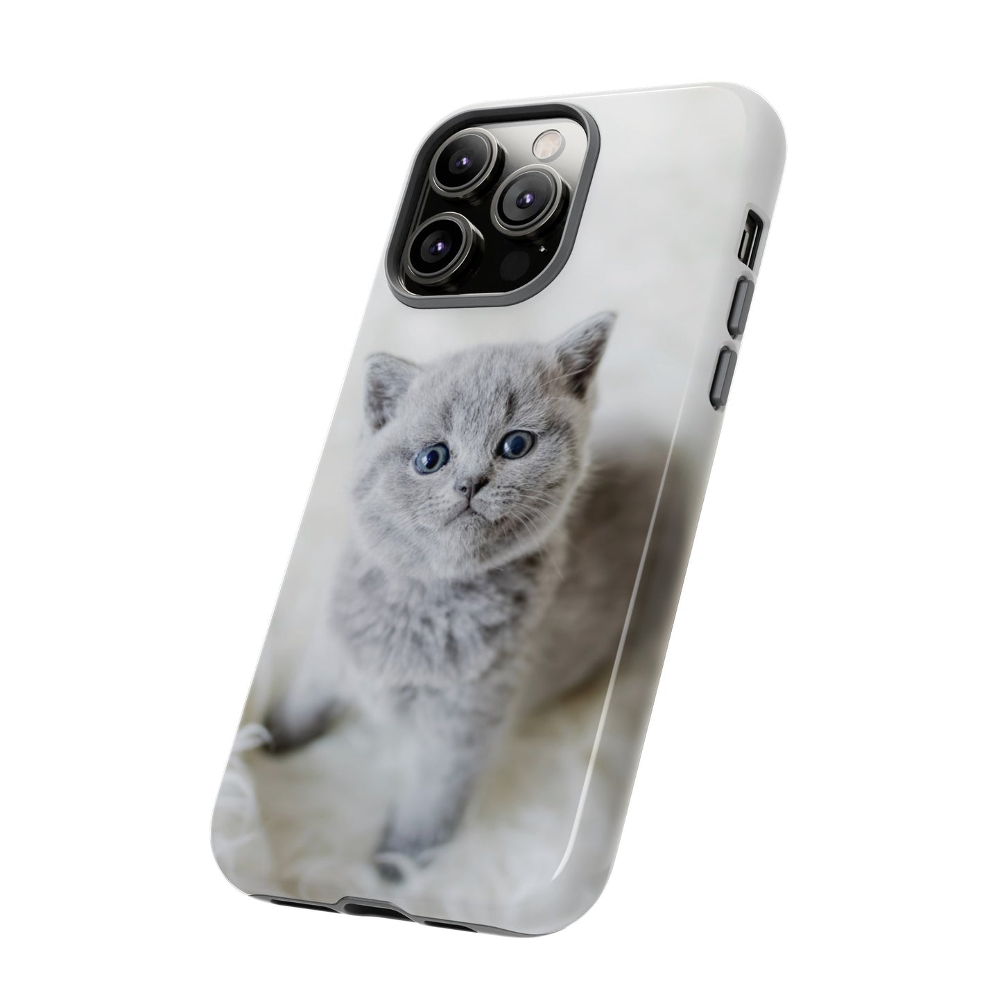 Grey Kitten Wallpaper Phone Case | iPhone 15 Plus/ Pro, 14, 13, 12| Google Pixel 7, Pro, 5| Samsung Galaxy S23 All Major Phone Models