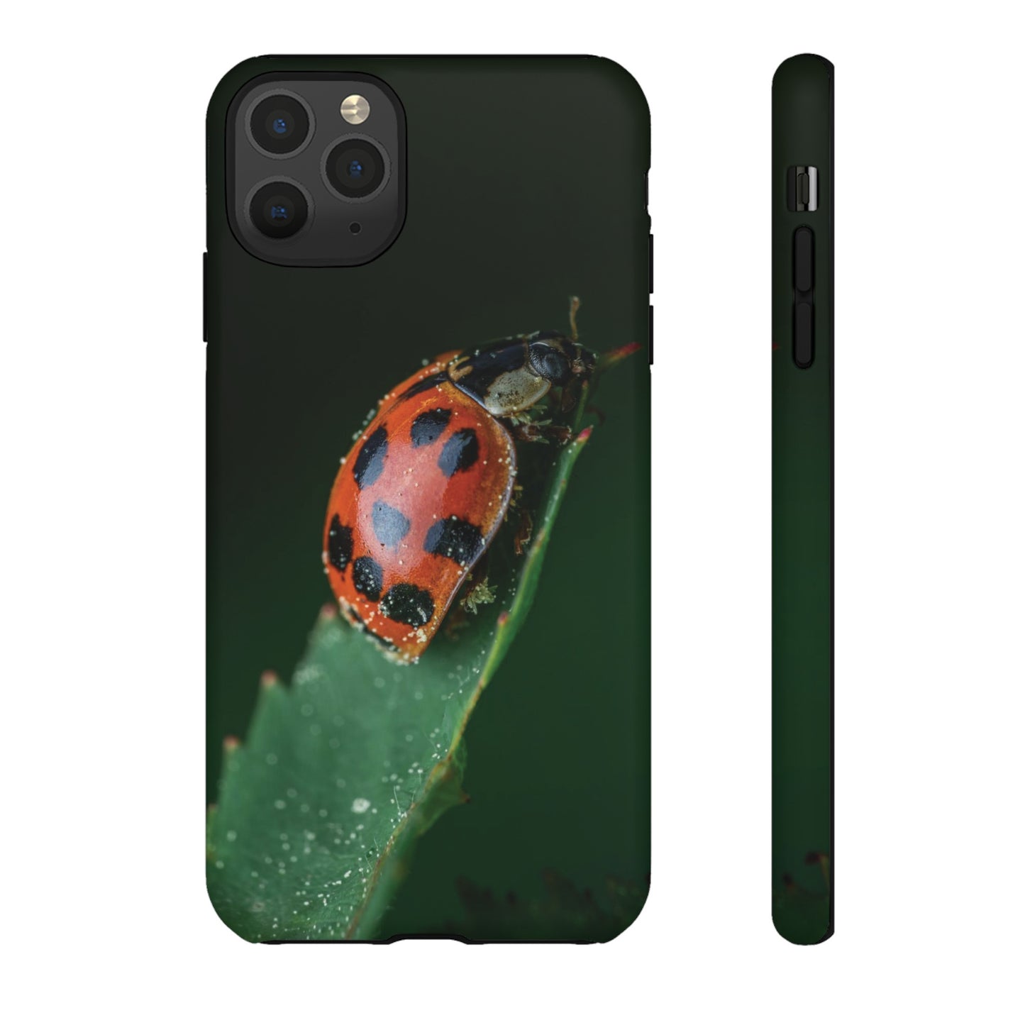 Ladybug Wallpaper Phone Case | iPhone 15 Plus/ Pro, 14, 13, 12| Google Pixel 7, Pro, 5| Samsung Galaxy S23 All Major Phone Models