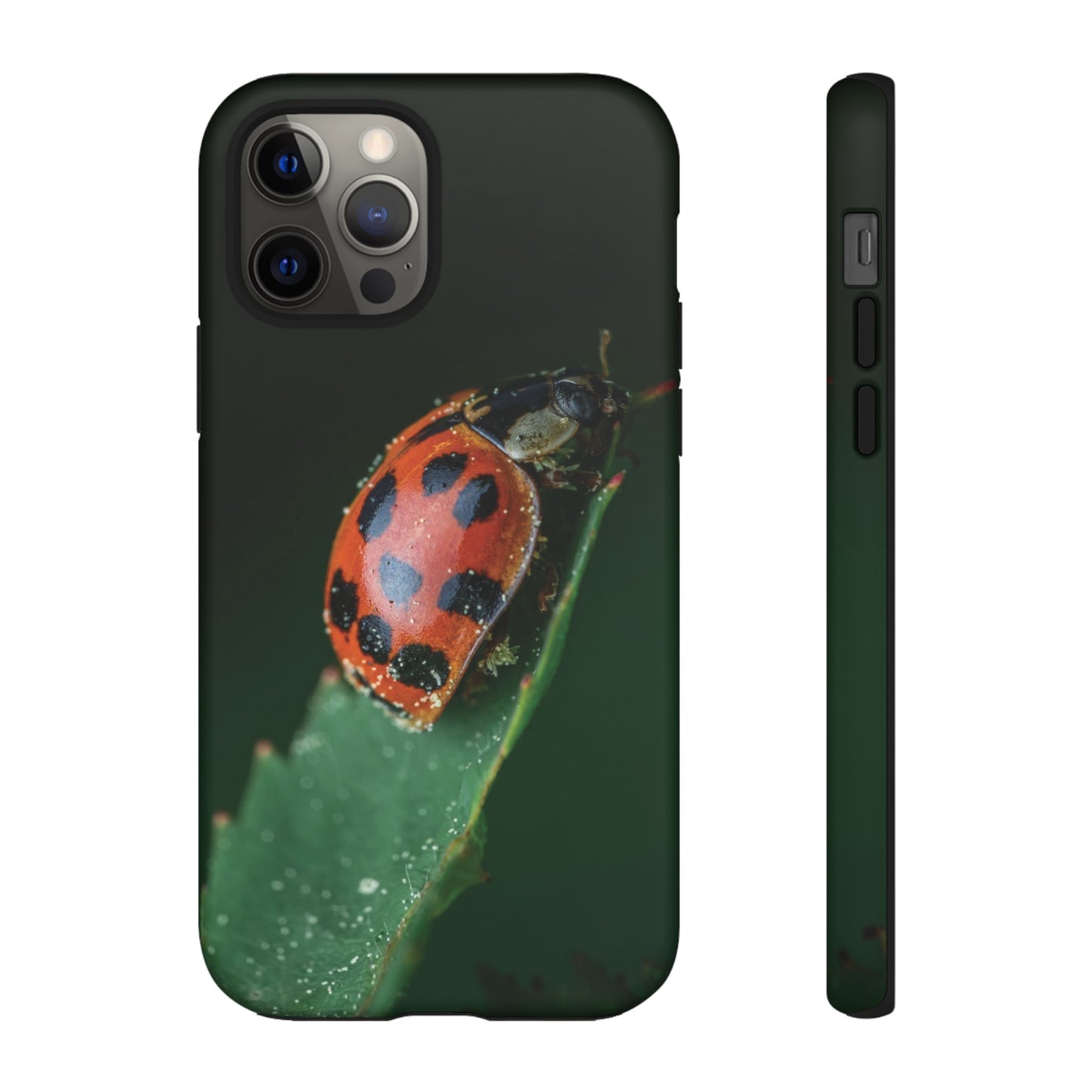 Ladybug Wallpaper Phone Case | iPhone 15 Plus/ Pro, 14, 13, 12| Google Pixel 7, Pro, 5| Samsung Galaxy S23 All Major Phone Models