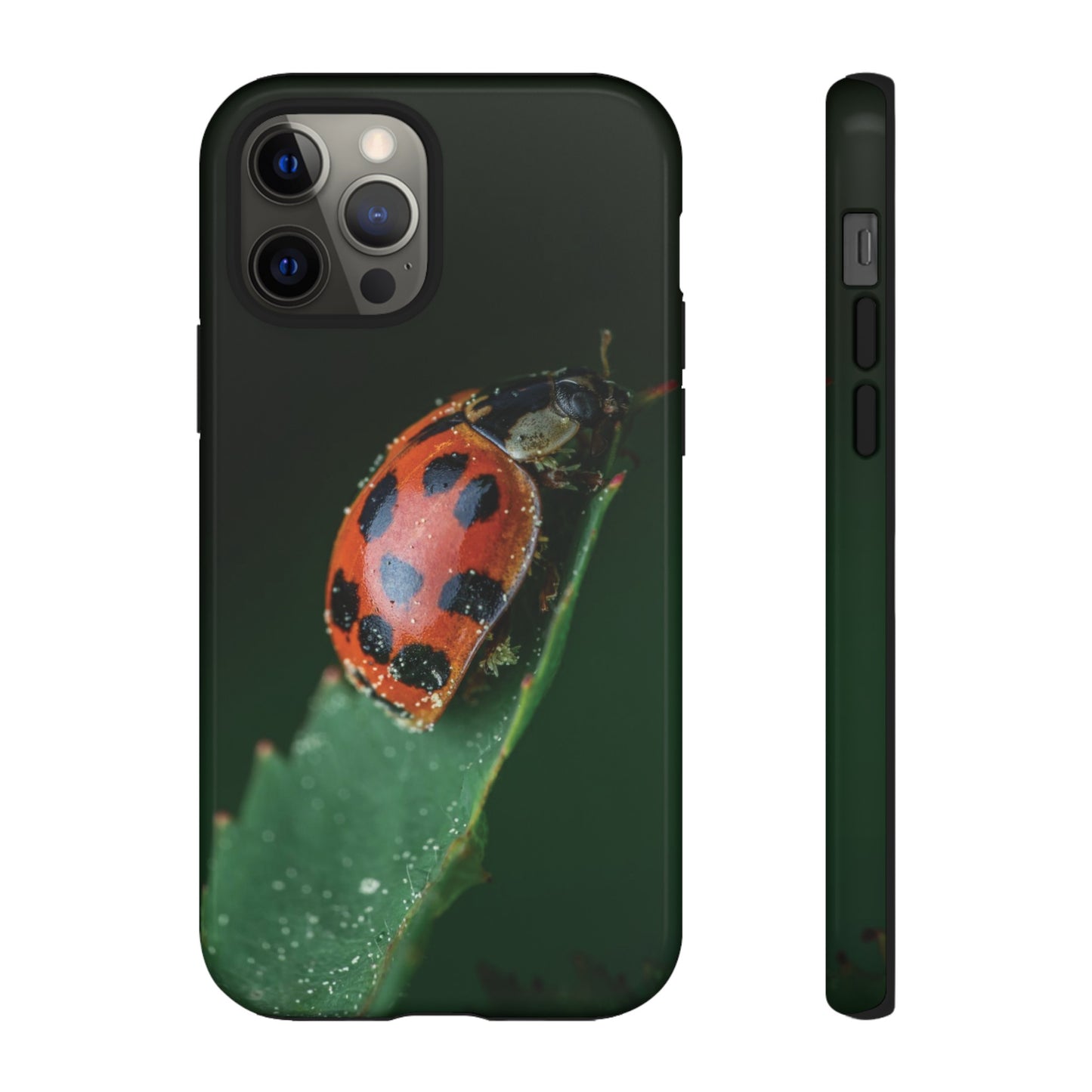 Ladybug Wallpaper Phone Case | iPhone 15 Plus/ Pro, 14, 13, 12| Google Pixel 7, Pro, 5| Samsung Galaxy S23 All Major Phone Models