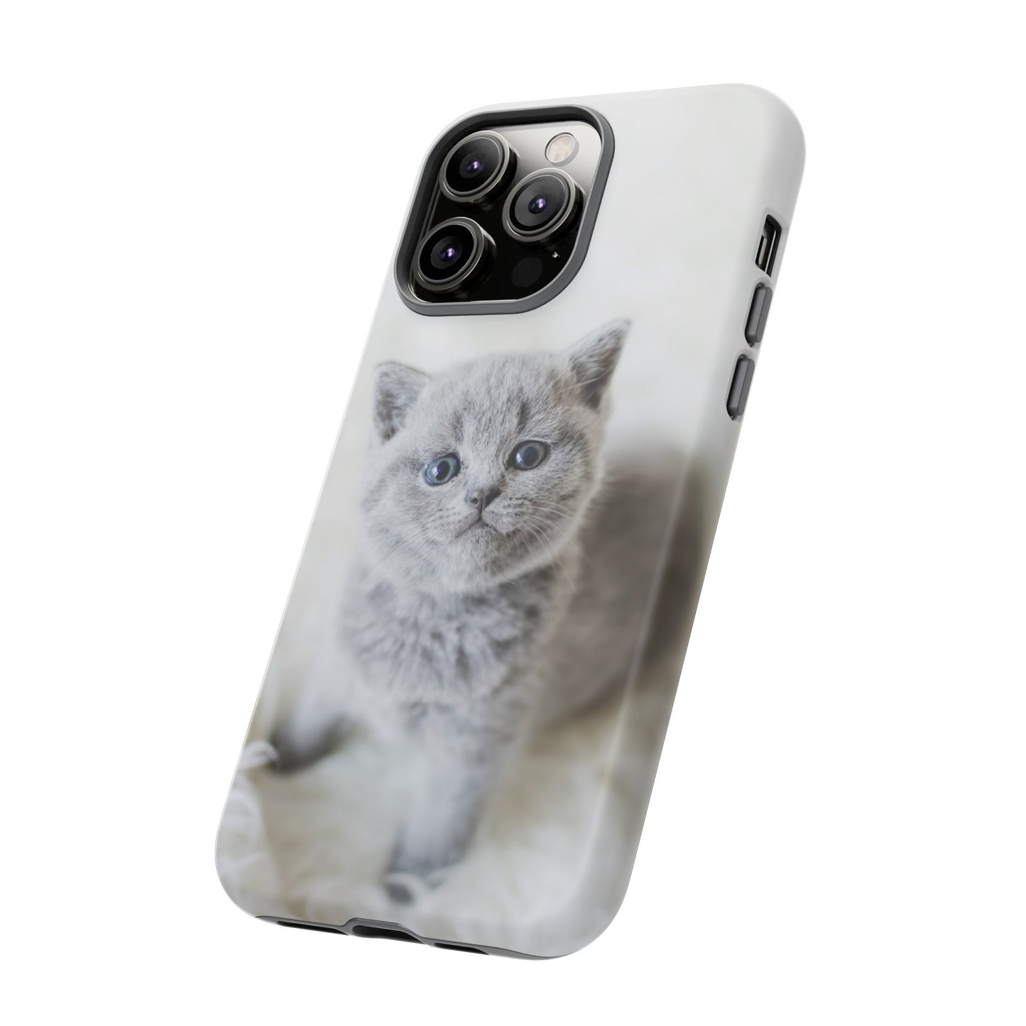 Grey Kitten Wallpaper Phone Case | iPhone 15 Plus/ Pro, 14, 13, 12| Google Pixel 7, Pro, 5| Samsung Galaxy S23 All Major Phone Models