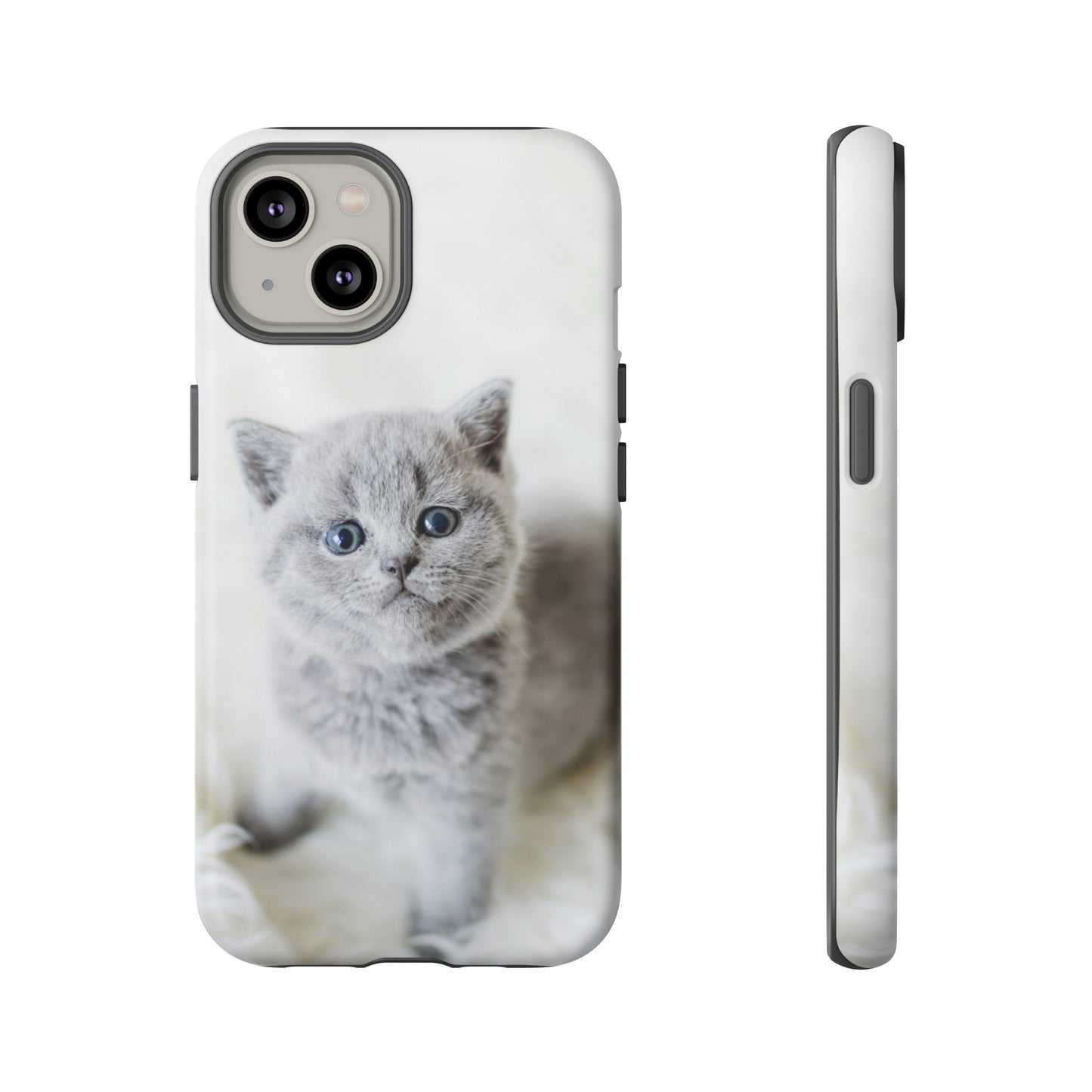 Grey Kitten Wallpaper Phone Case | iPhone 15 Plus/ Pro, 14, 13, 12| Google Pixel 7, Pro, 5| Samsung Galaxy S23 All Major Phone Models