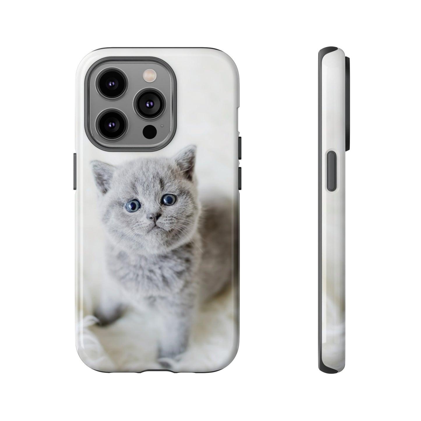 Grey Kitten Wallpaper Phone Case | iPhone 15 Plus/ Pro, 14, 13, 12| Google Pixel 7, Pro, 5| Samsung Galaxy S23 All Major Phone Models